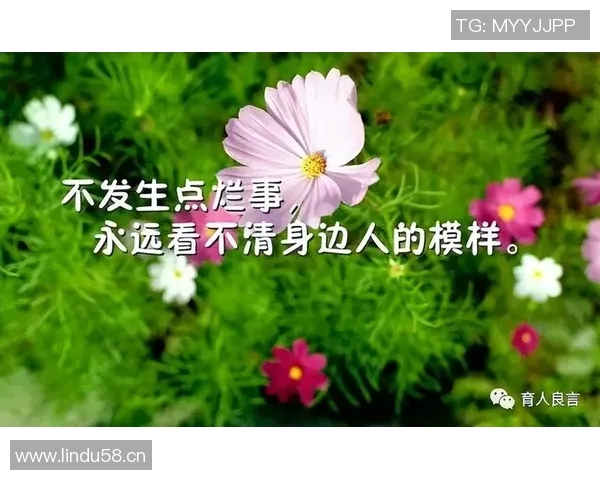 李丽的极限运动人生探索与挑战背后的深度对话与感悟