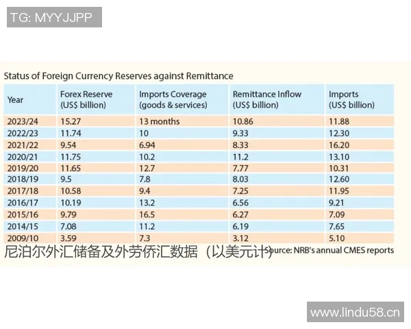 比利时与突尼西亚亚盘分析及投注建议全面解读
